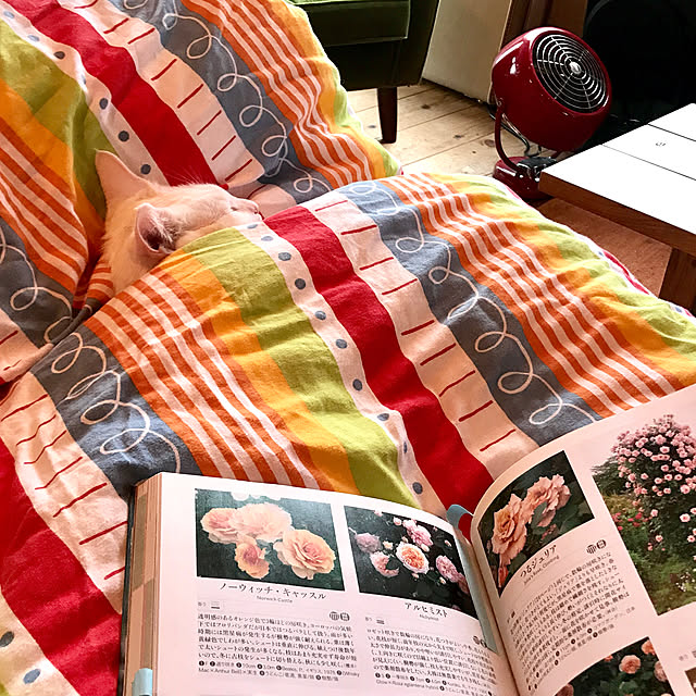sakurasakuさんの実例写真