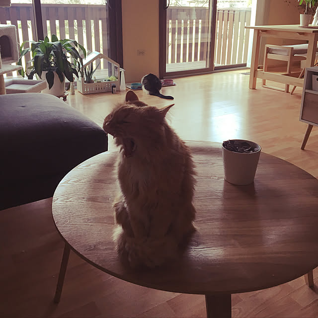 Keiさんの実例写真