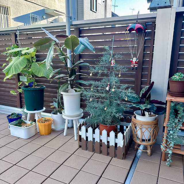 miyuさんの実例写真