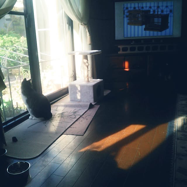 部屋全体のインテリア実例 - 2017-05-08 07:10:46