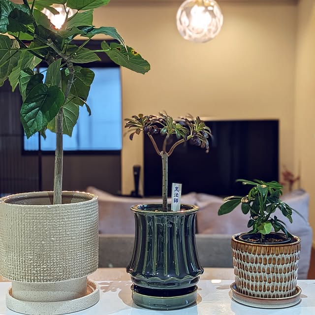 kumijiさんの実例写真