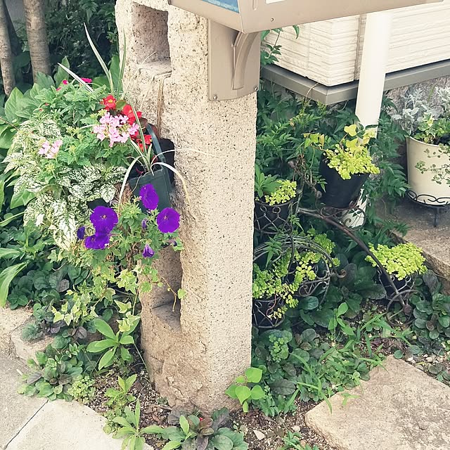 実例写真