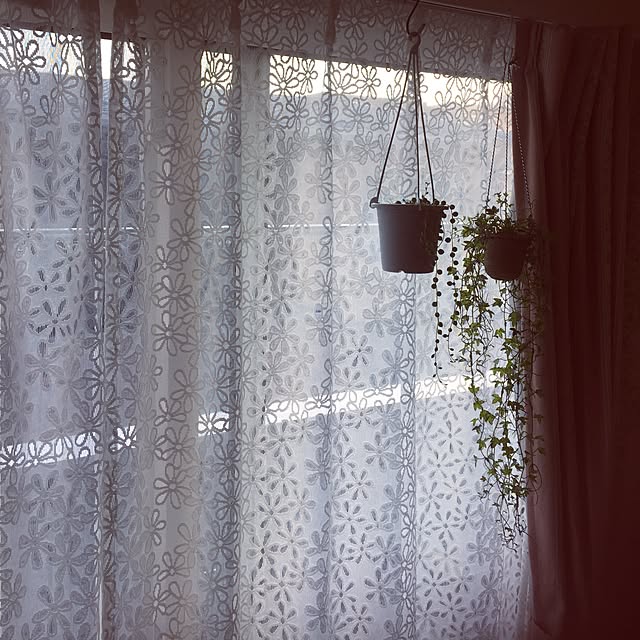 wildswanさんの実例写真