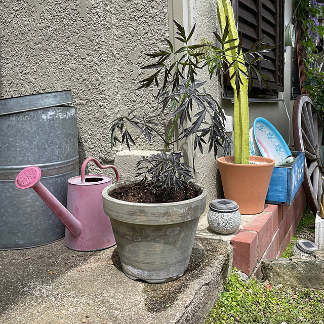 shin0719さんの実例写真