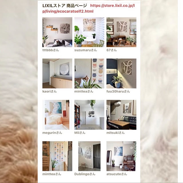 壁/天井/LIXILエコカラットセルフ/リクシル/猫のいる暮らし/エコカラットセルフ...などのインテリア実例 - 2024-03-18 22:25:54