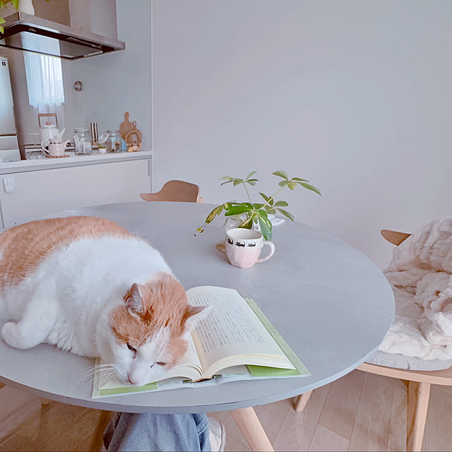 m--homeさんの実例写真