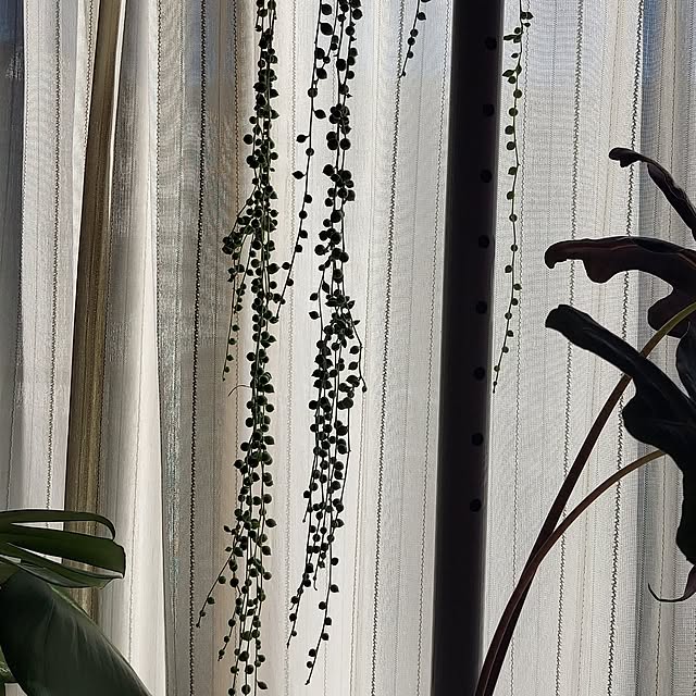 chiyumiさんの部屋