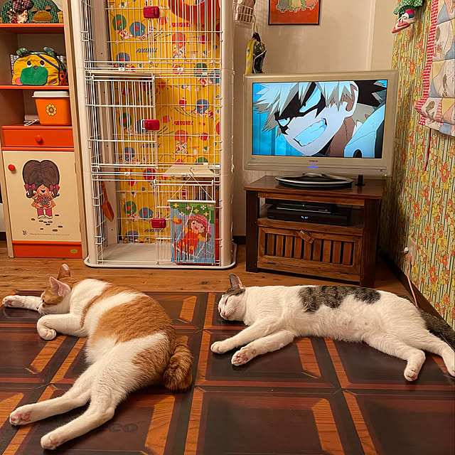 meさんの実例写真