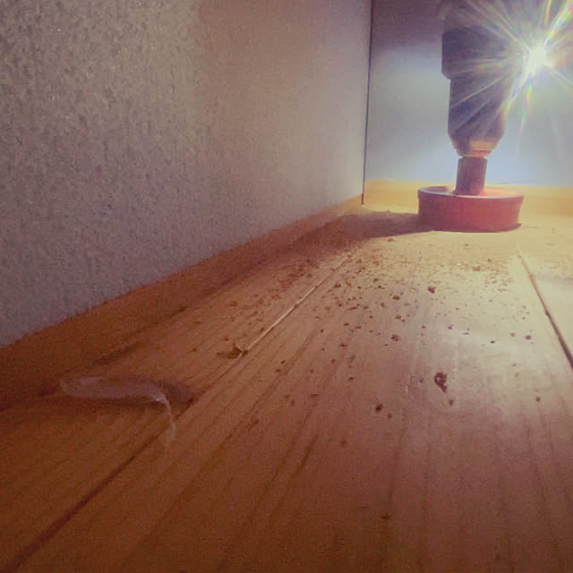 domさんの部屋