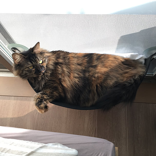 mikomaruさんの実例写真