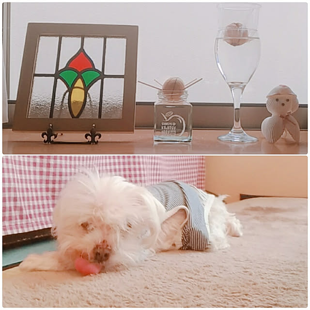 magnoliaさんの実例写真