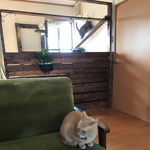 mikan161さんの実例写真