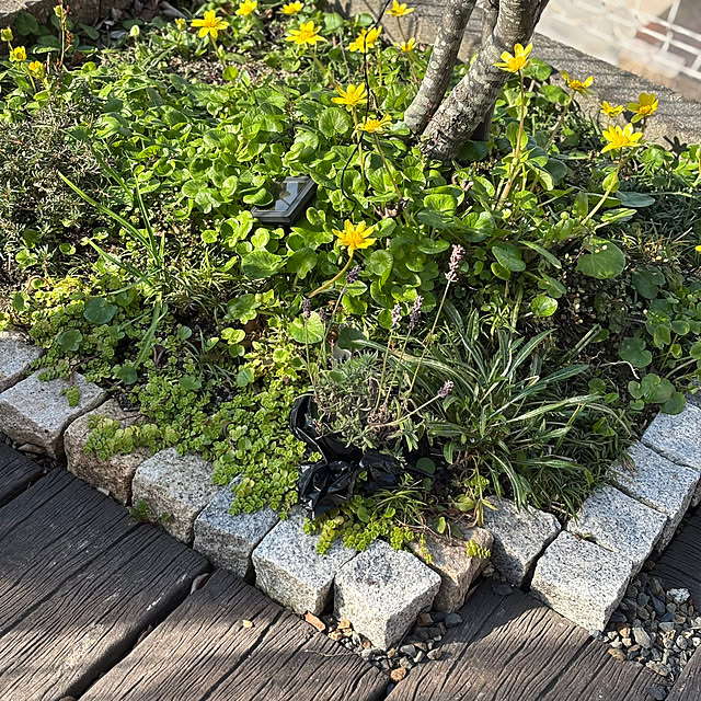 omasaさんの部屋