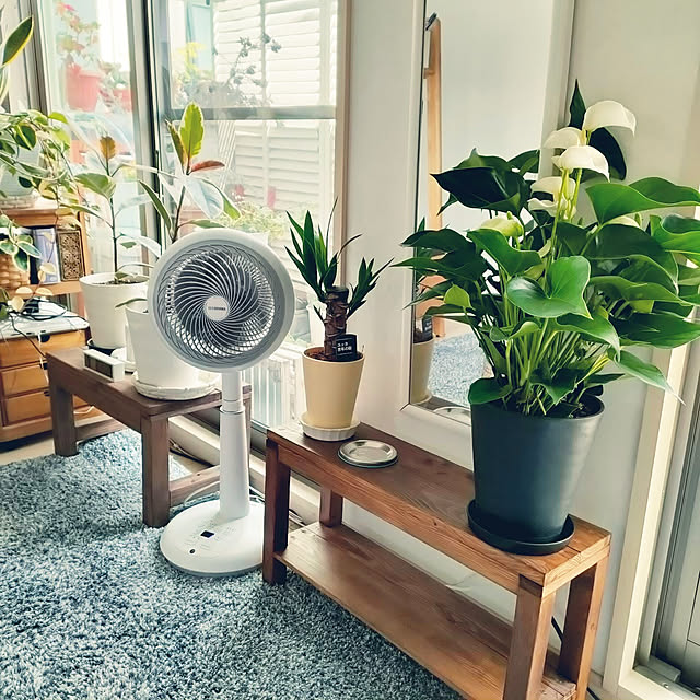 VERANDARJUNさんの実例写真