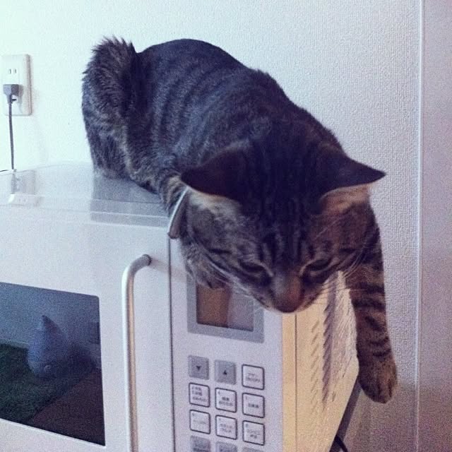 tsubakiさんの実例写真
