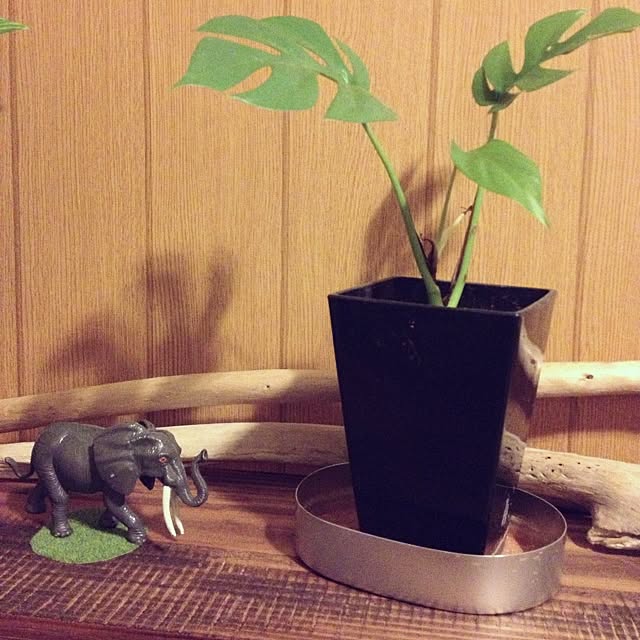 haoo9さんの実例写真