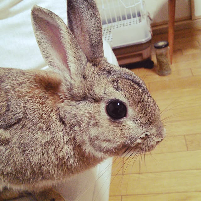 Ayaさんの実例写真