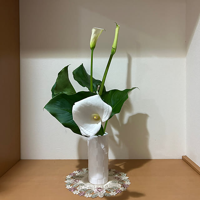 fumikoiさんの実例写真