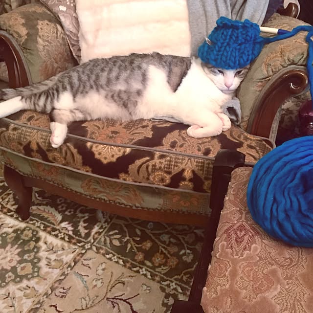 emmyyさんの実例写真