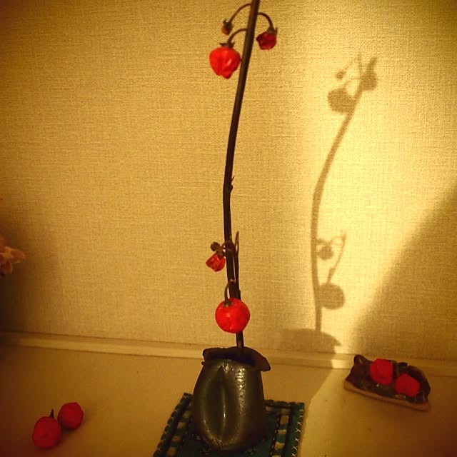 Hannaさんの実例写真