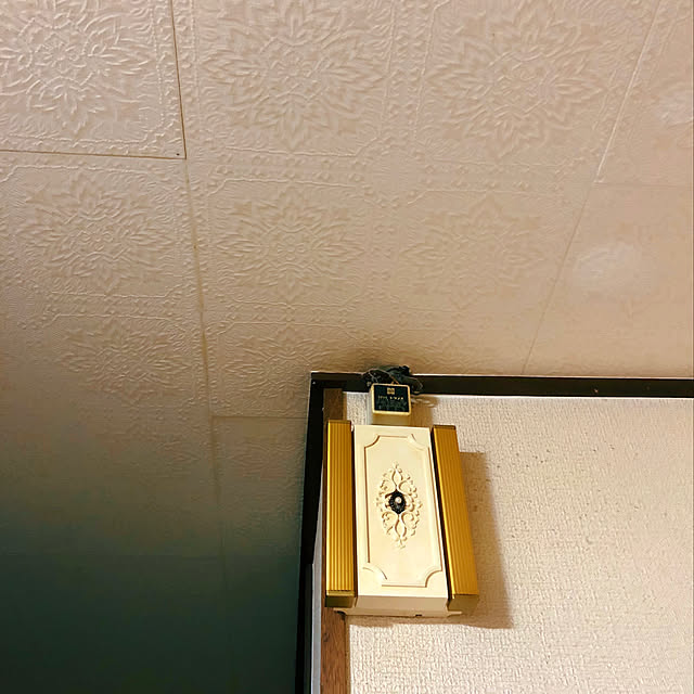auraさんの実例写真