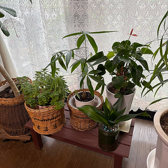 ritsukoさんの部屋