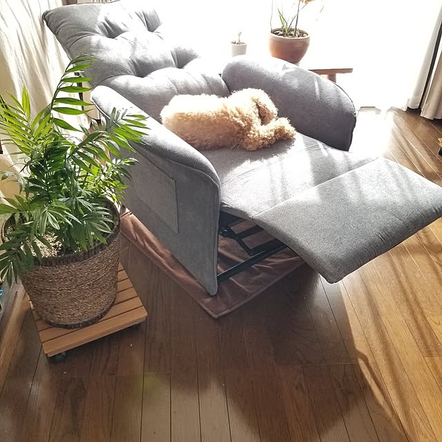 midoriさんの部屋