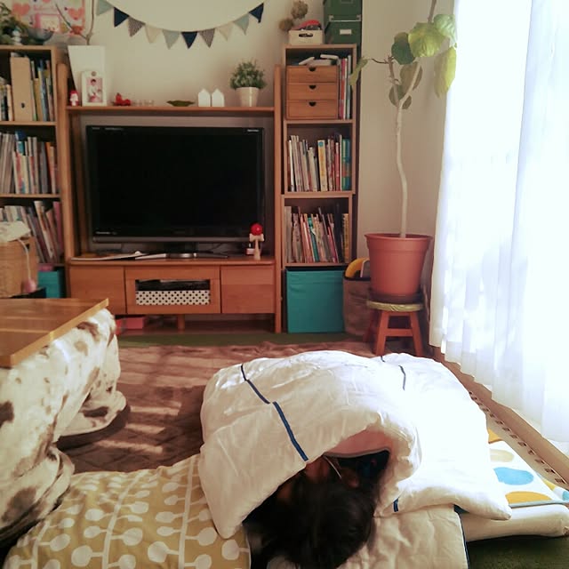 VERANDARJUNさんの実例写真