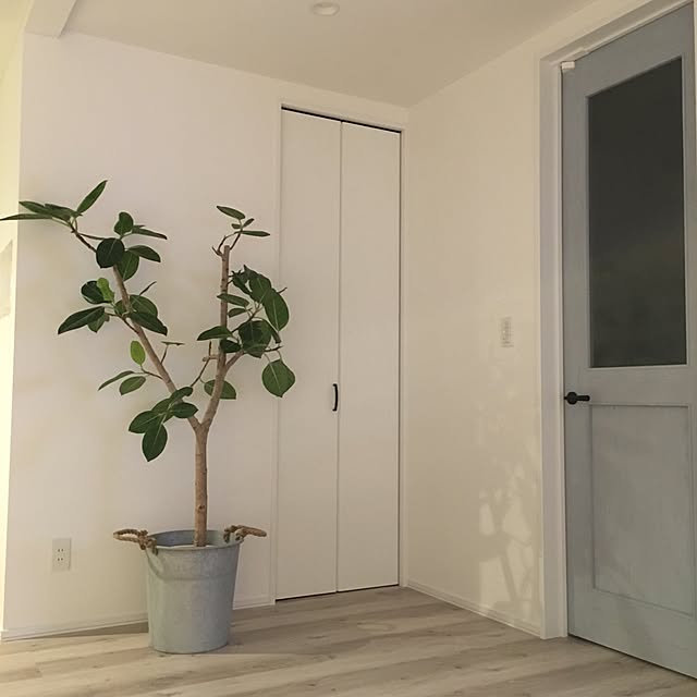 77poan99さんの実例写真