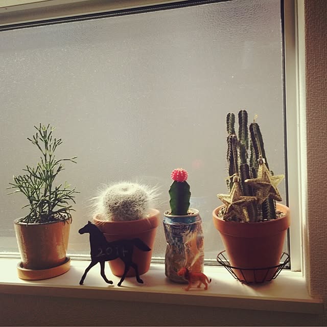 zappa_968さんの実例写真