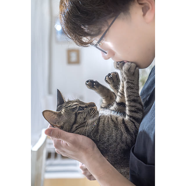 oliveさんの実例写真