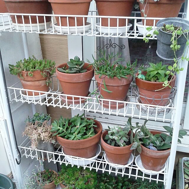 383junkさんの実例写真