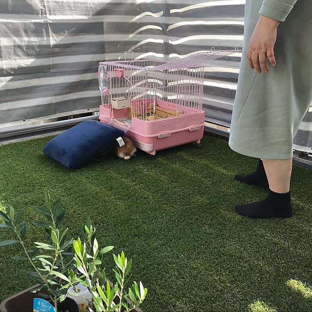 fujiyanさんの実例写真