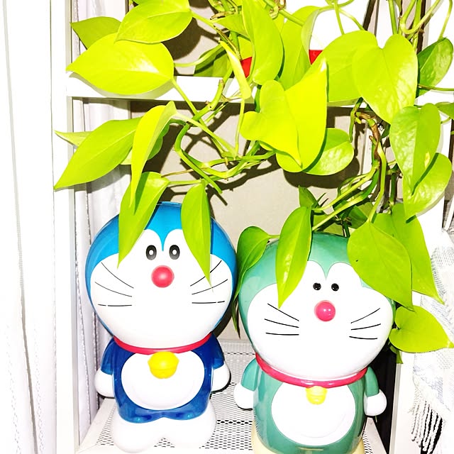 katさんの実例写真