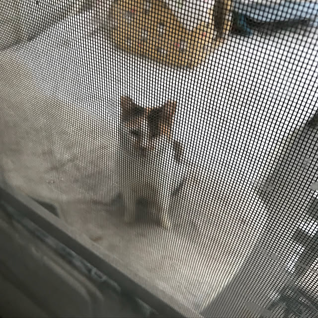 merisannさんの実例写真