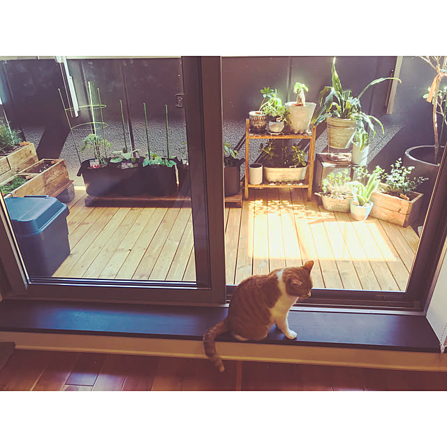 Kobamiさんの実例写真
