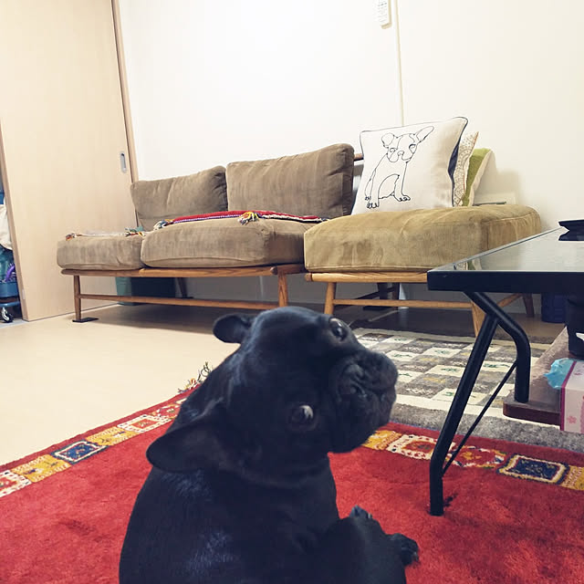 nicomaruさんの実例写真