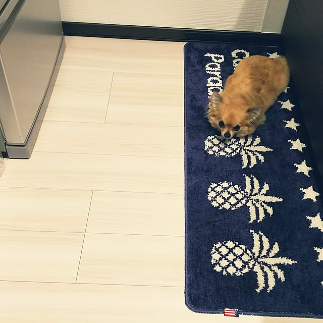 kojikojiさんの実例写真