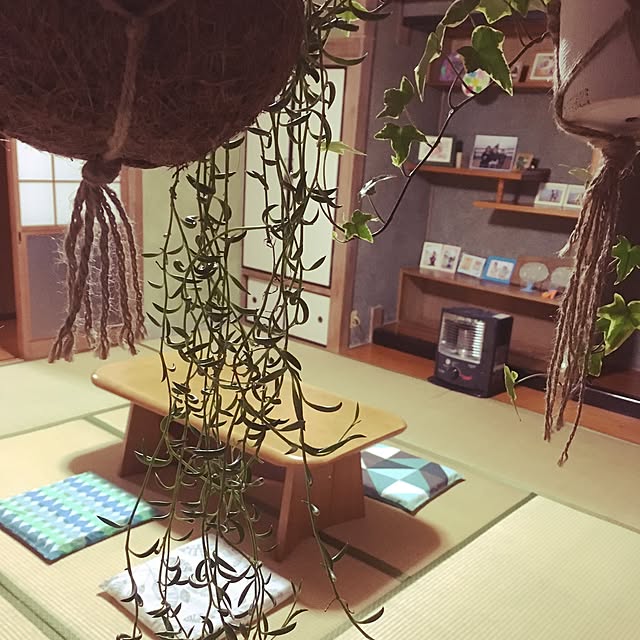 cocoithuさんの実例写真