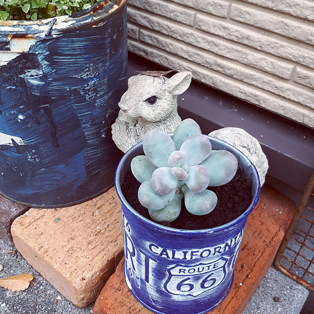 min_nimさんの実例写真