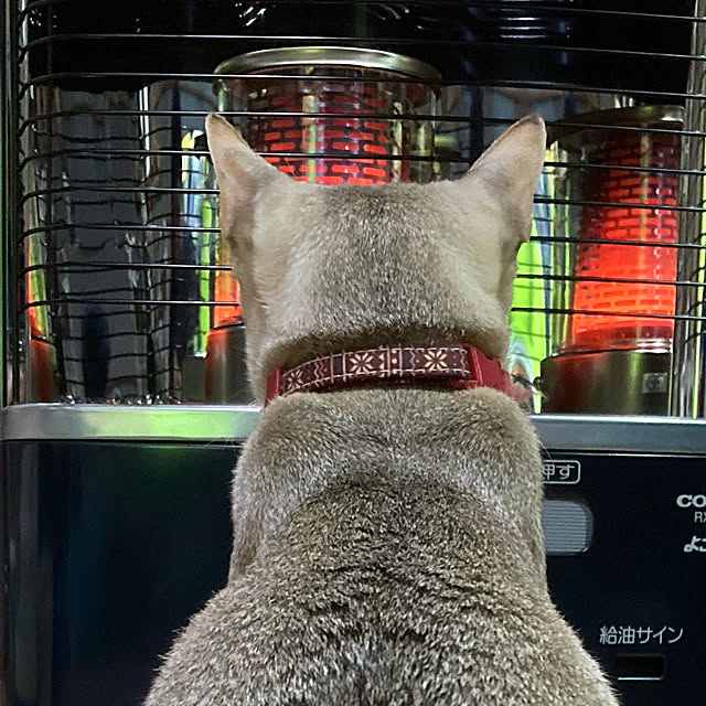 mokurenさんの実例写真