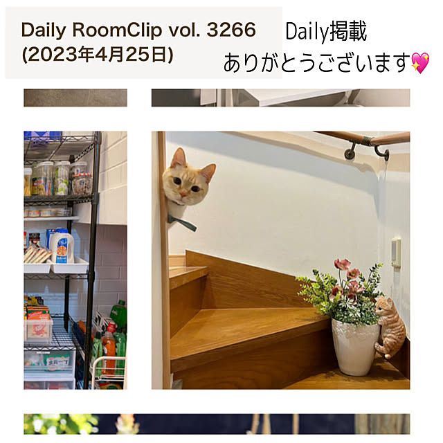 milkさんの実例写真