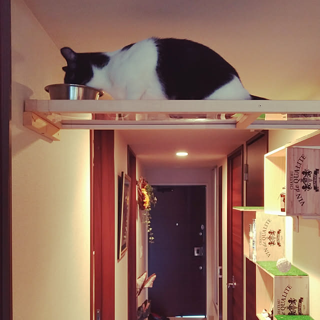 daiさんの実例写真