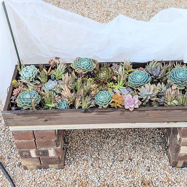 PEROさんの実例写真