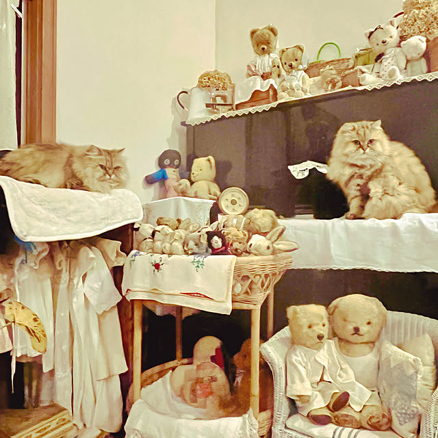 teddyさんの実例写真