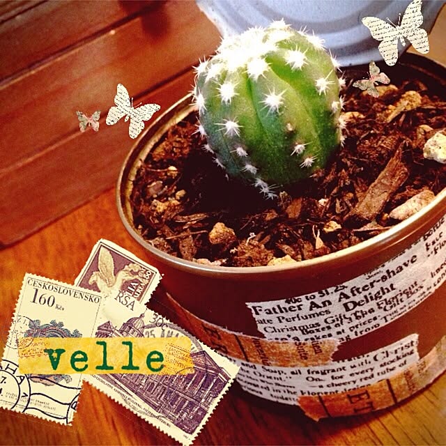 机/植物/velleさん♡のインテリア実例 - 2014-03-11 03:32:32