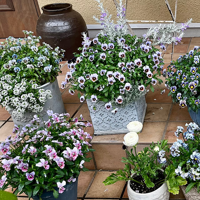 rokokoさんの部屋