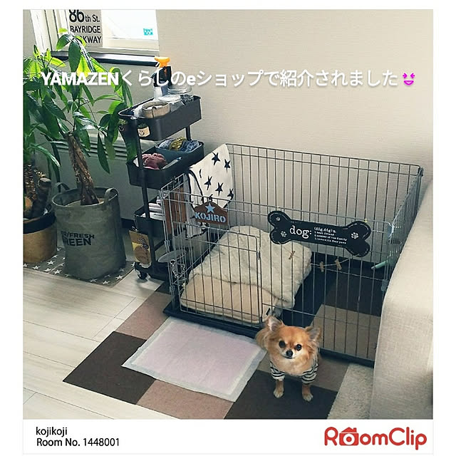 kojikojiさんの実例写真