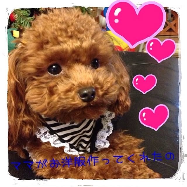 cocoさんの実例写真