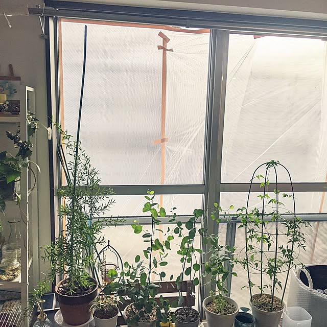 mi-saさんの部屋